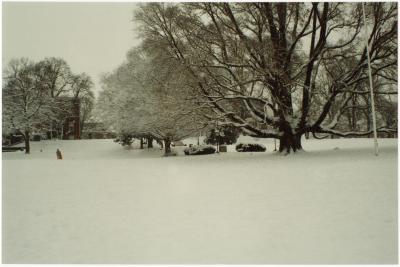 Campus green in the snow