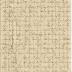 Eight miscellaneous partial letters from Anna M. Willson to Julia R. Willson