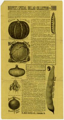 Burpee’s special dollar collection advertisement