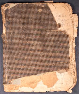 Julia Willson Ringgold and Mary Ringgold Willson cookbook